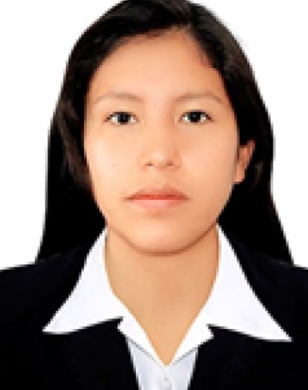 Quimico Lidia Calsina Perez